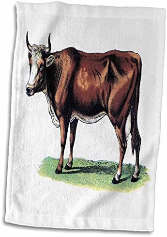 3dRose Florene Animals - Реколта Кафяви Кърпи за крави (twl-37367-1)