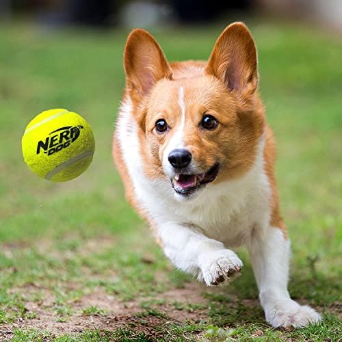 Подаръчен комплект играчки за кучета на Nerf Куче от 12 теми, включва тенис топка с мъка 2.5 инча, 12 опаковки, траен материал на