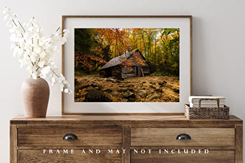 Снимка в стил Кънтри, Принт (без рамка), Снимка на Стария навес, ограден от есента листа, Късно следобед в Опушен планина, Тенеси, Интериор на къща в селски стил, от 4x6 ?